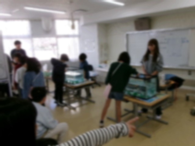 https://machida.schoolweb.ne.jp/1310175/blog_img/232088654?tm=20250227144730