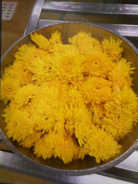 菊の花