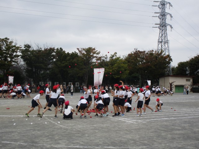 https://machida.schoolweb.ne.jp/1310181/blog_img/54268776?tm=20241018095437