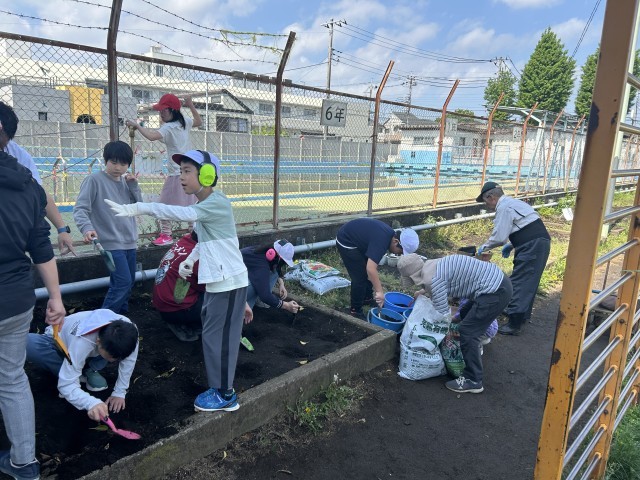 教わったように、苗を植える準備