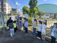 手を振ってお出迎え