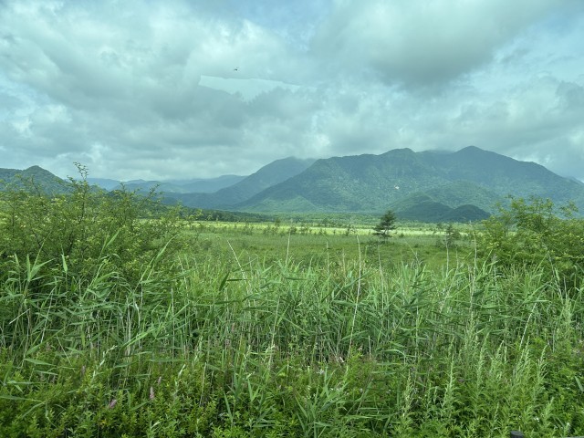 戦場ヶ原