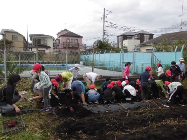 https://machida.schoolweb.ne.jp/1310188/blog_img/54226631?tm=20241010225258