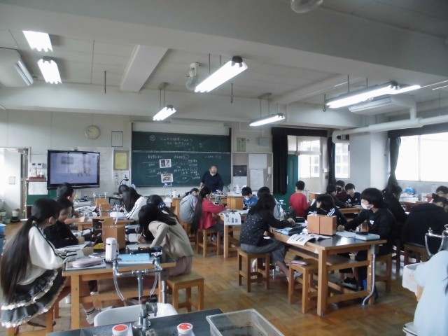 https://machida.schoolweb.ne.jp/1310188/blog_img/54388206?tm=20241105210248