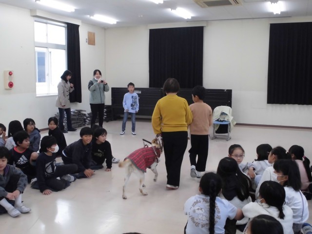 https://machida.schoolweb.ne.jp/1310188/blog_img/86992025?tm=20241120180044