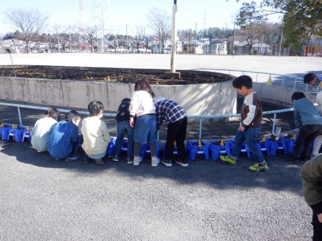 https://machida.schoolweb.ne.jp/1310189/blog_img/229168664?tm=20250204113828