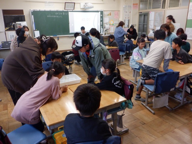 https://machida.schoolweb.ne.jp/1310189/blog_img/54376894?tm=20241102093844