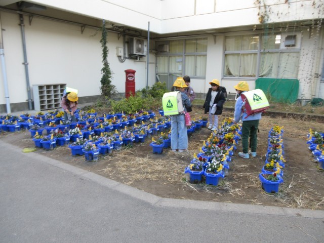 水やりをする１年生