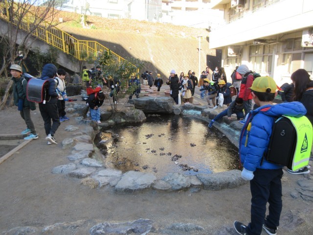 氷が張った池