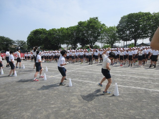 白組応援