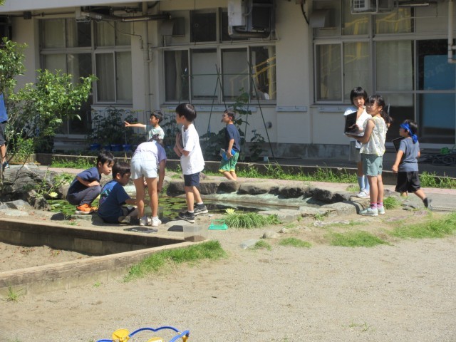 ２年生生活科