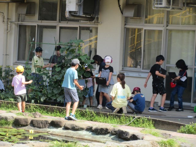 すぎな学級野菜