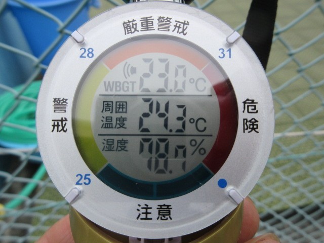 数値が低くなっています