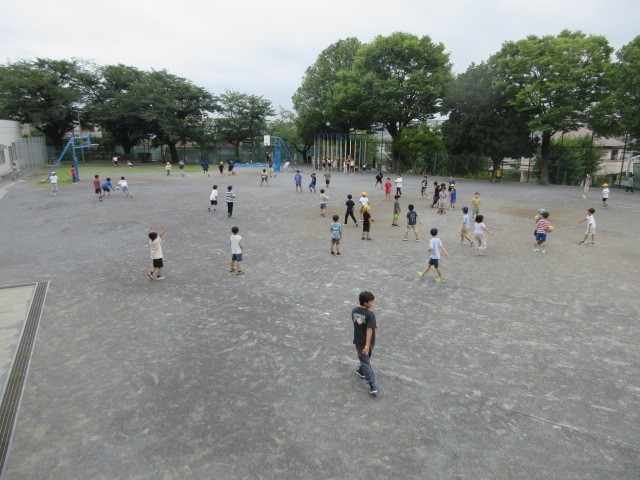 校庭の様子