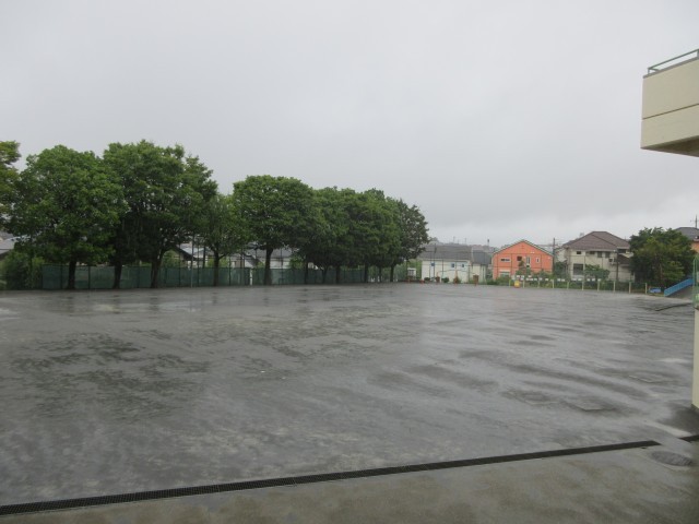 雨の校庭