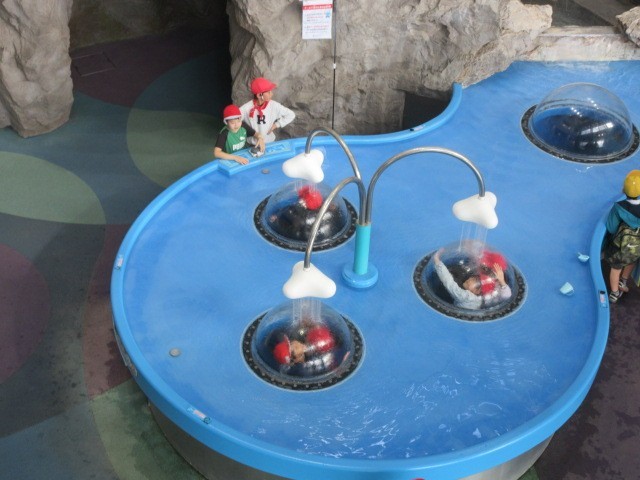 下から顔を出して水を浴びています