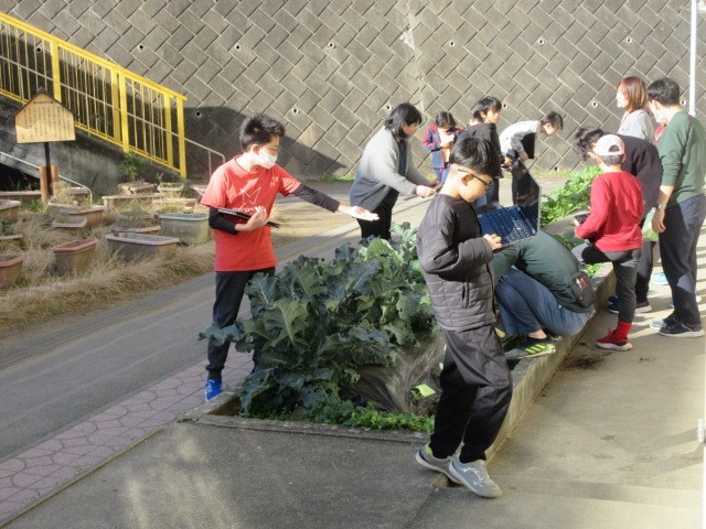 すぎな学級生活単元学習