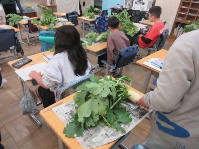 すぎな学級生活単元学習