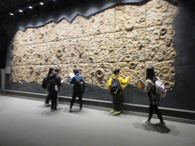 アンモナイトの壁の前で