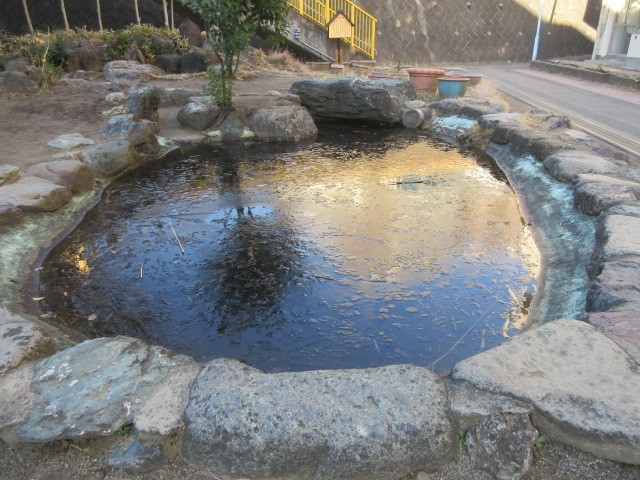 氷が張りました