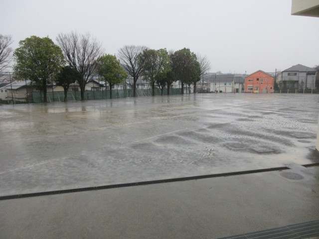 雨の校庭