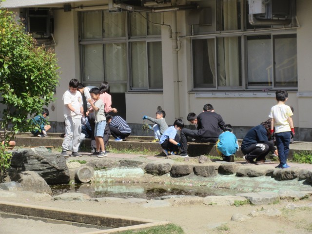 すぎな学級生活単元