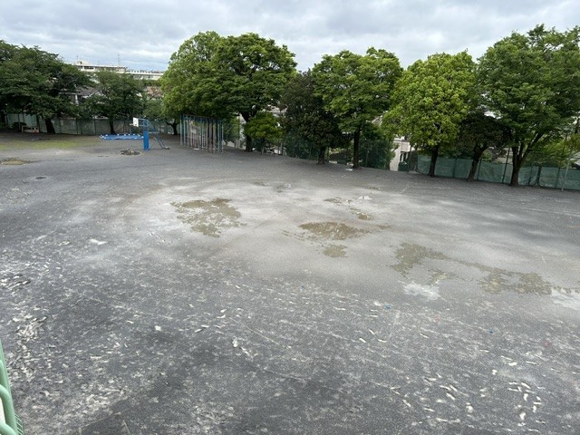 校庭の様子