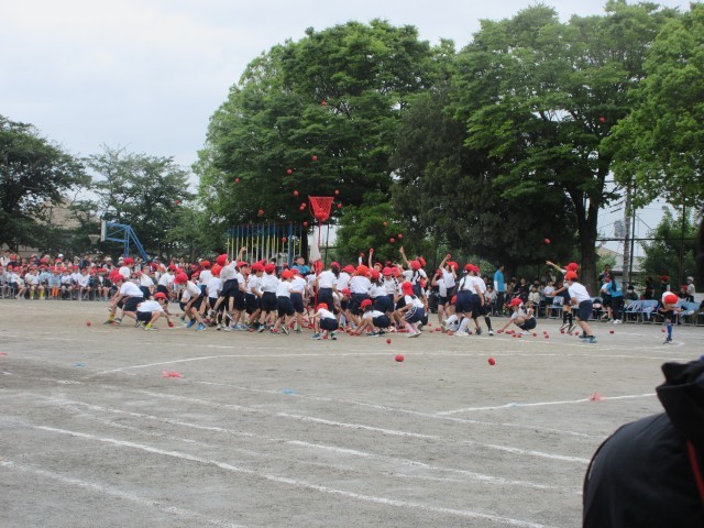 2年生
