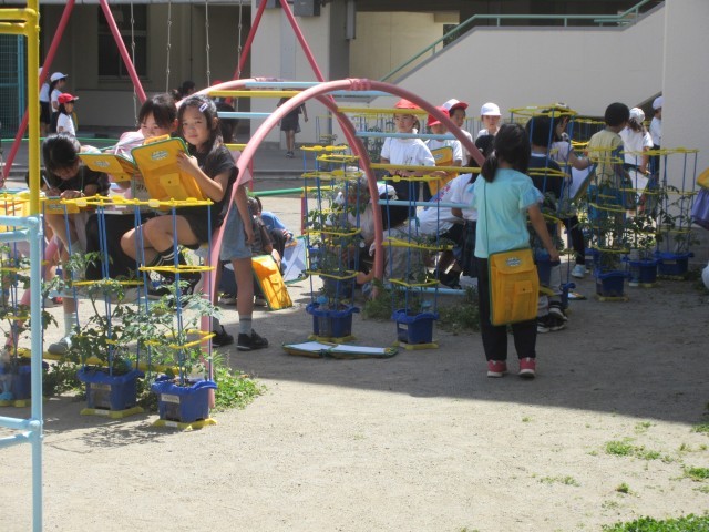 ２年生