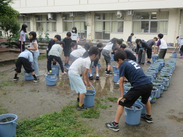 ５年生総合