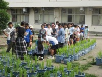 5年生総合