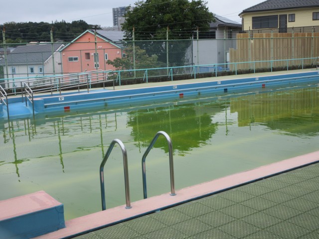 プールの水は濁っています