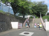 ピンク門の様子