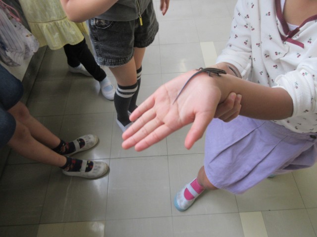中休み