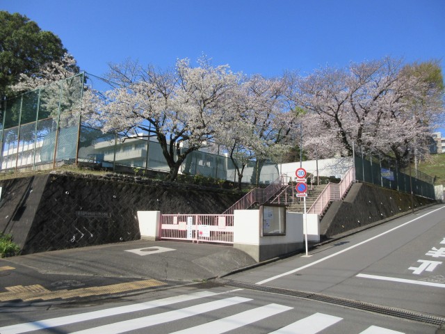 春