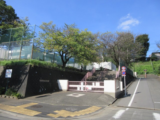 夏