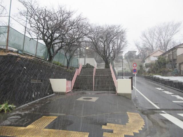 冬
