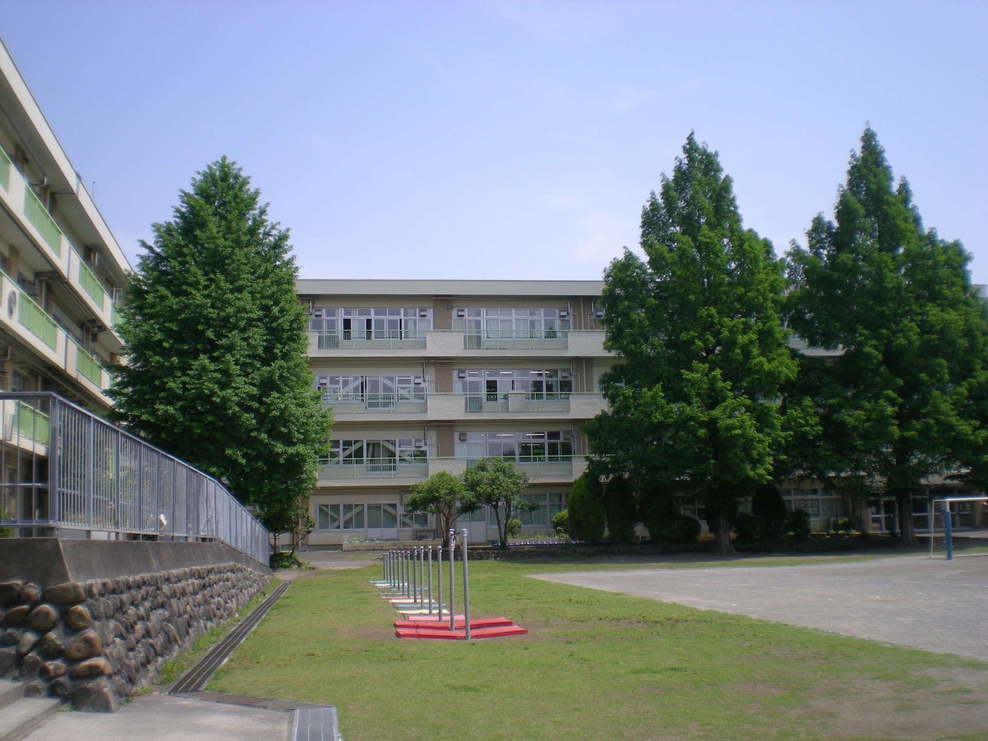 校庭初夏DSCN1103.JPG