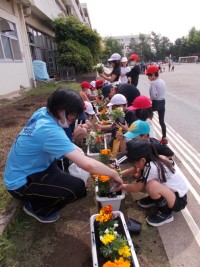 花植えの様子