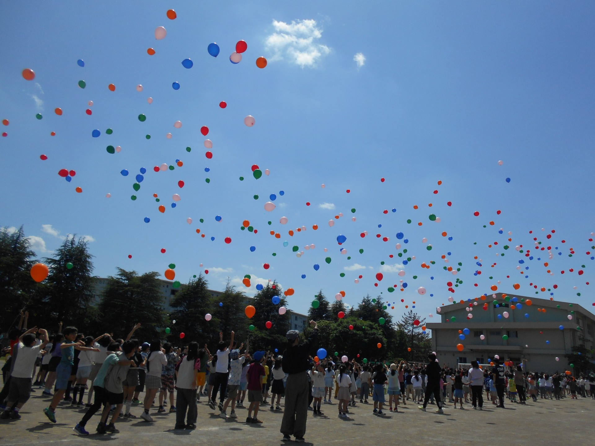 DSCN6142.JPG