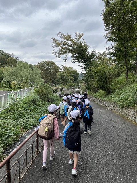 みんなで仲良く歩きました