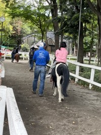 ポニーに乗馬