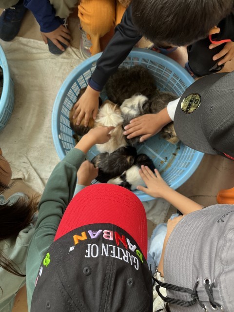 ふれあい動物