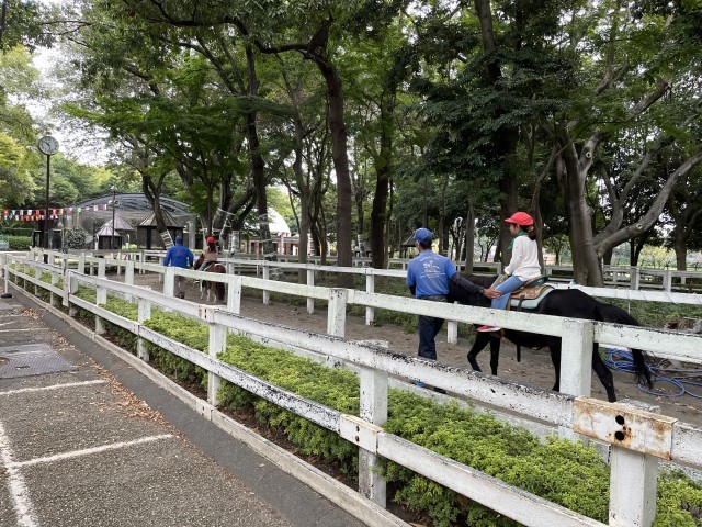 ポニー乗馬