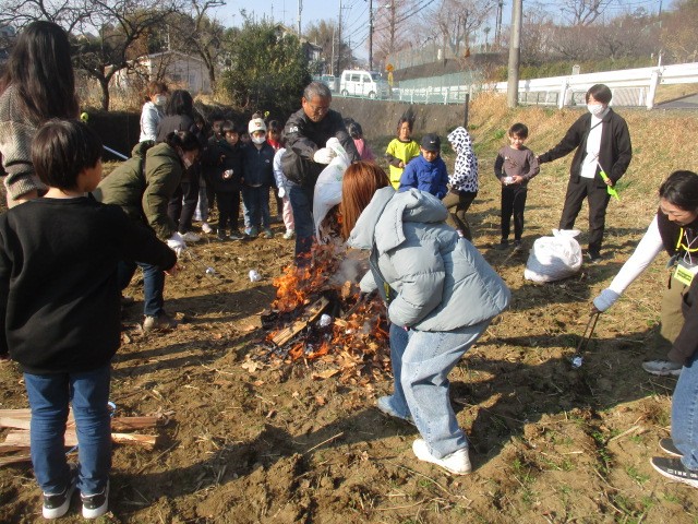 焼き芋