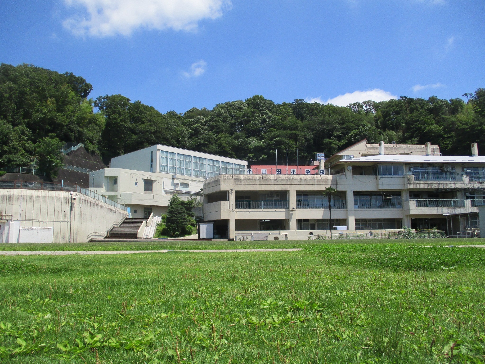 初夏の小山田小学校