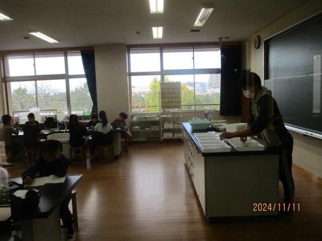 https://machida.schoolweb.ne.jp/1310208/blog_img/68373090?tm=20241111105106