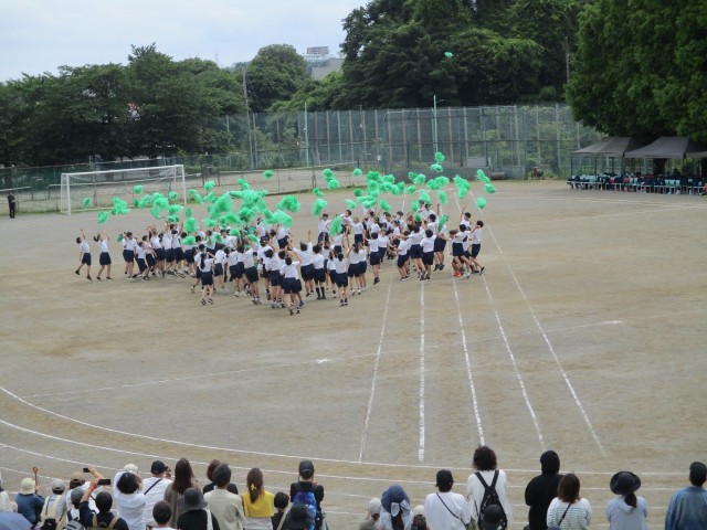 IMG_2305.JPG