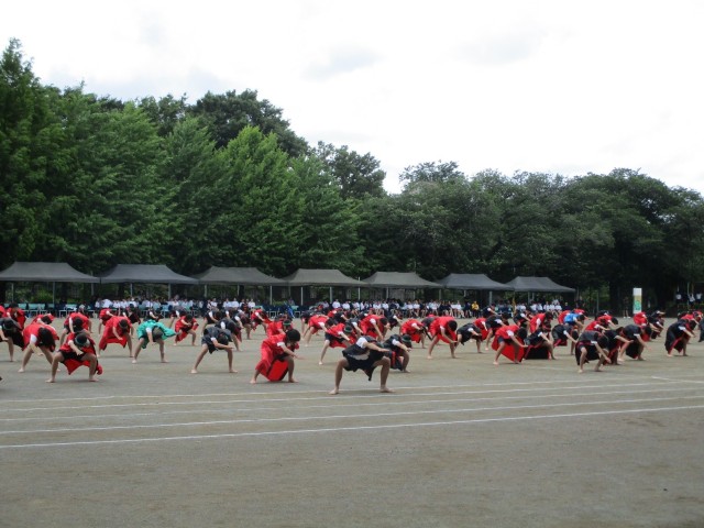 IMG_2339.JPG