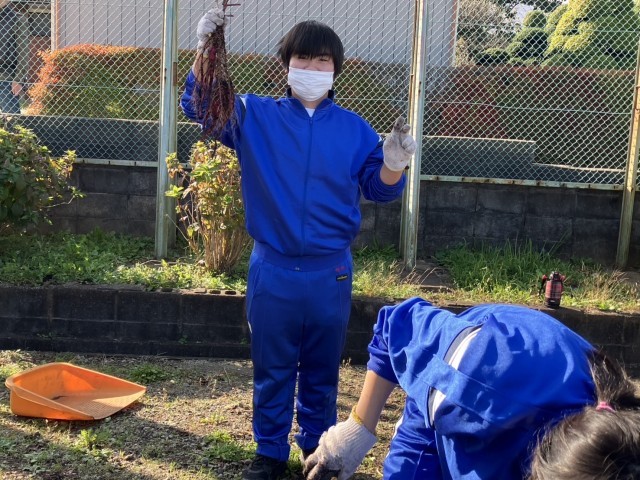 https://machida.schoolweb.ne.jp/1320110/blog_img/61897149?tm=20241107160916